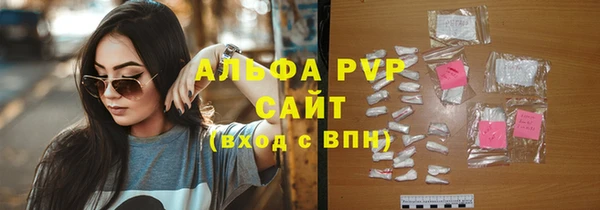 гидра Белокуриха