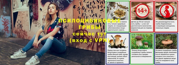PSILOCYBIN Беломорск