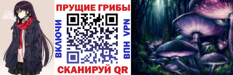 Галлюциногенные грибы мицелий Тулун